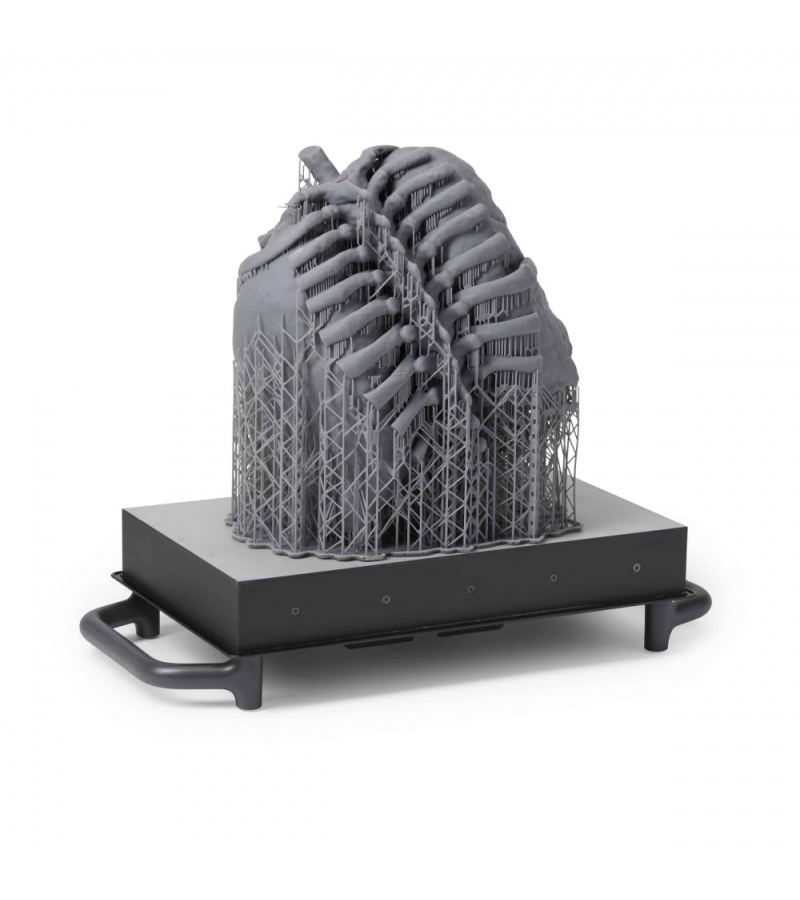 Formlabs Form 3BL - 3D Yazıcı