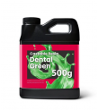 Phrozen 0.5 kg Döküm Reçinesi - Dental Green