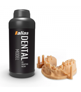 Alias Dental Model