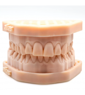 Alias Dental Model Precise