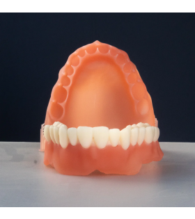 Alias Dental Denture