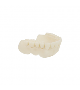 Alias Dental Try-In