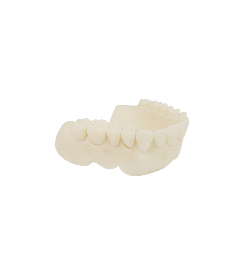 Alias Dental Try-In
