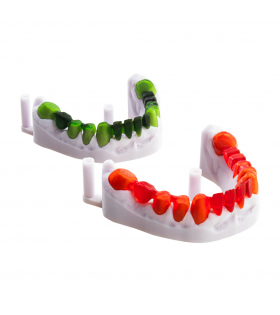 Alias Dental Döküm Reçinesi