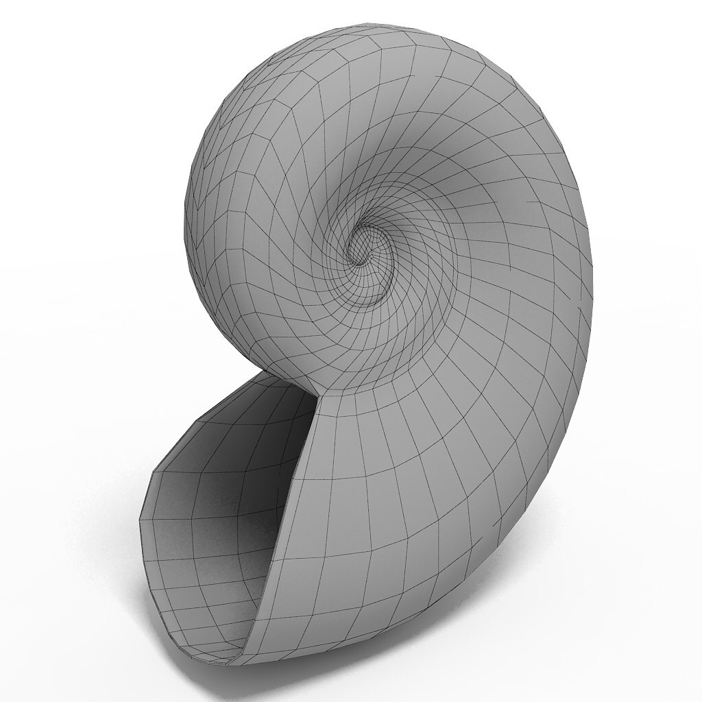 Трехмерная модель виды. Спираль в Fusion 360. Спираль Архимеда 3d. Спираль в 3ds Max. Спираль Фибоначчи Fusion 360.