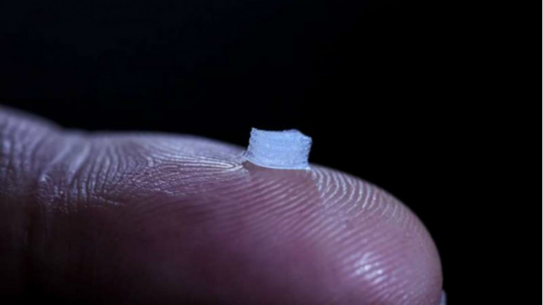 3D Yazıcılar, Omurilik Felcini Tamamen Ortadan Kaldırabilir